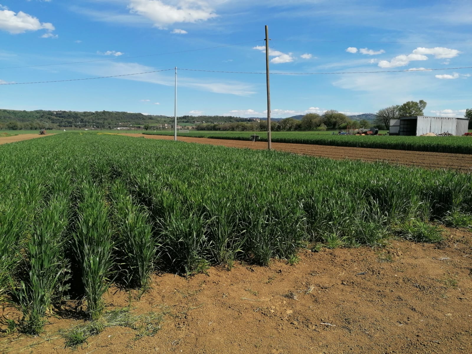 Visita tecnica FieldLab 